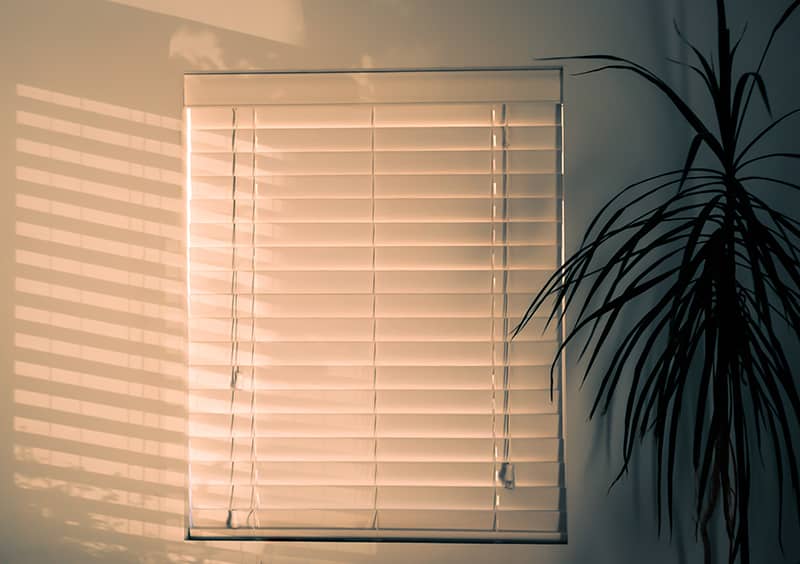 You are currently viewing How To Clean Your Custom Blinds